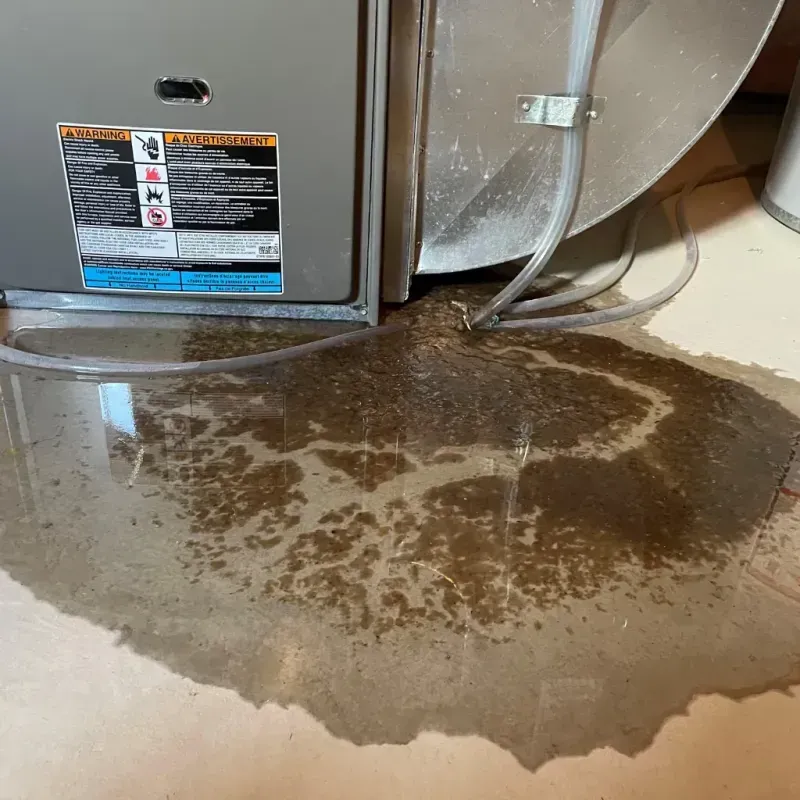 Appliance Leak Cleanup in Avon Park, FL